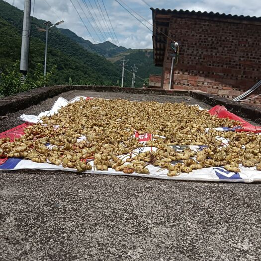 广南县云南这边的产地干的八角，如果要的话，我可以现做货