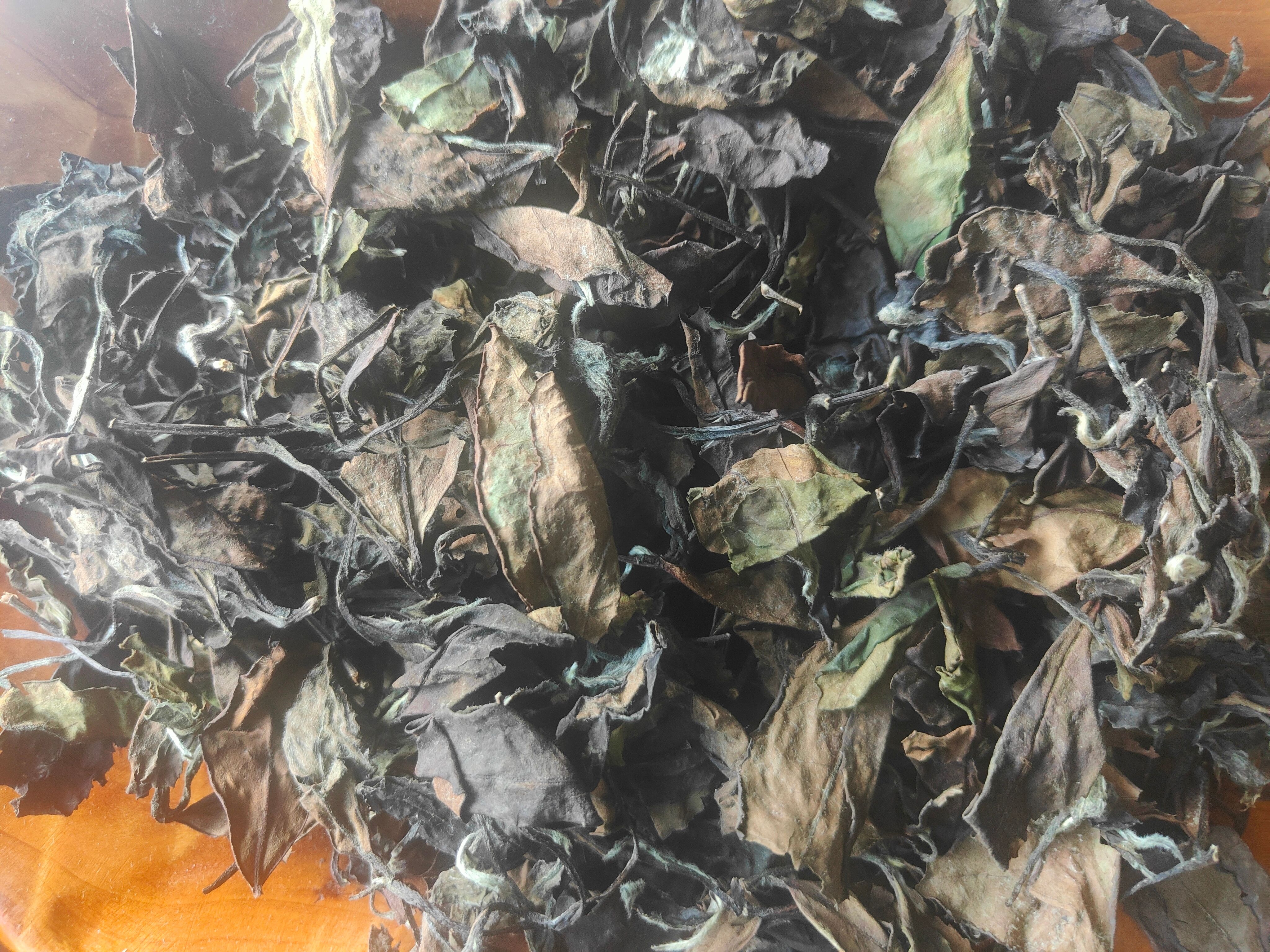 柘荣高山白茶