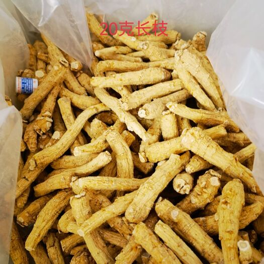 威海山东20克长枝软质参