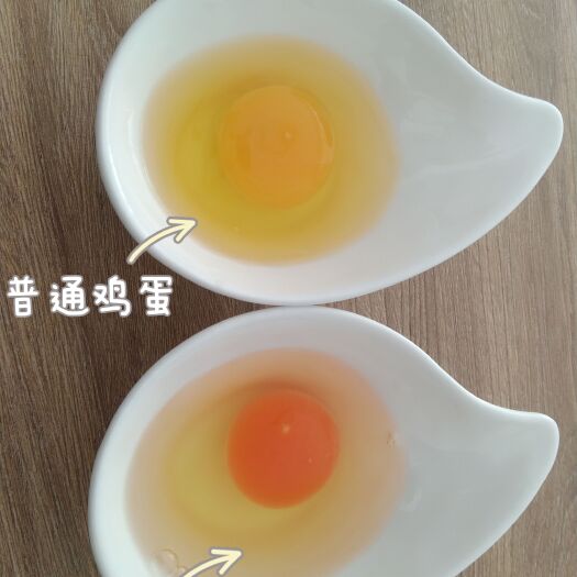 庄河市大骨鸡鸡蛋