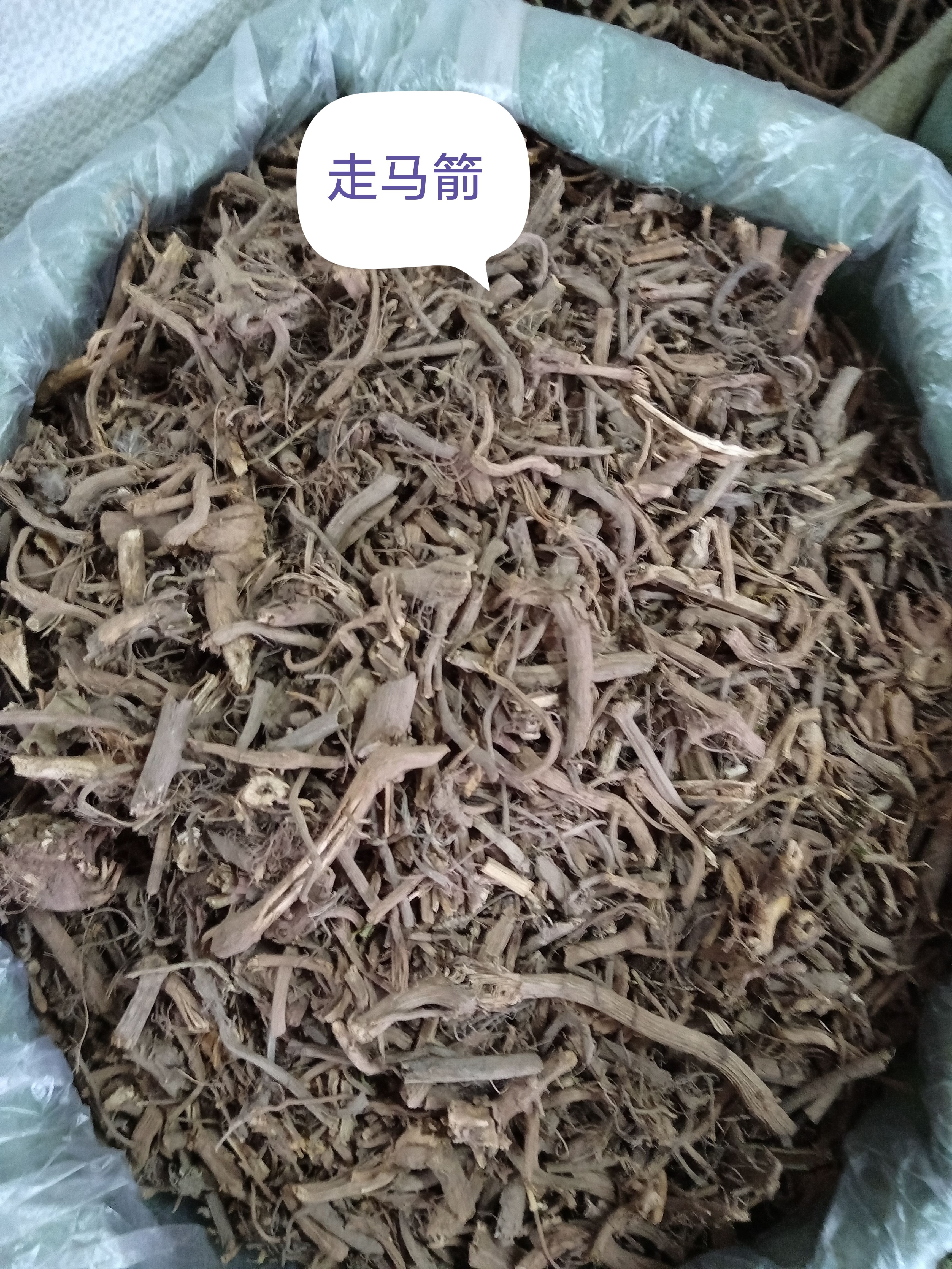 玉林中药材走马箭走马风陆英根