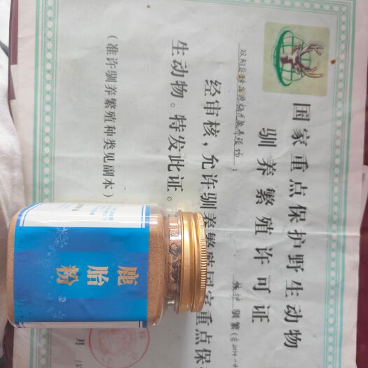 长春梅花鹿鹿胎粉  一瓶半斤  纯正鹿胎粉  珍品源梅花鹿养殖场