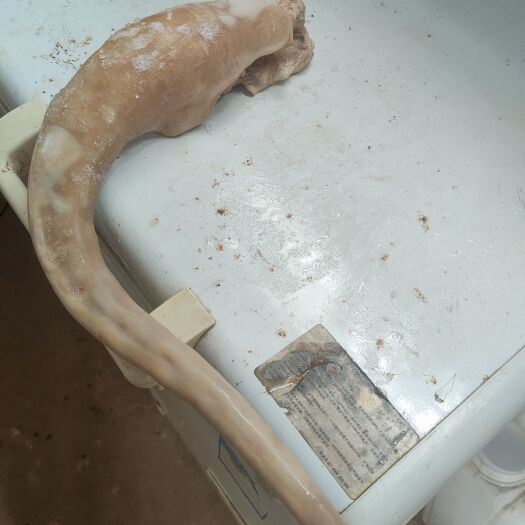 贺州带皮牛尾巴