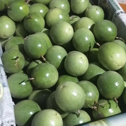 博白县钦蜜9号百香果