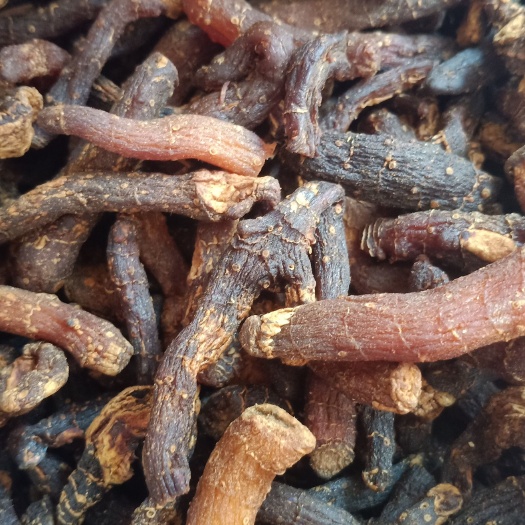 龙门县黄精