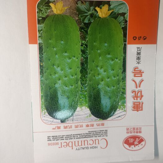 唐山水果黄瓜种子，唐山秋瓜种子