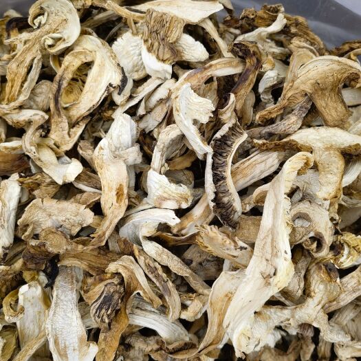 松茸干片 现货松茸菌云南特产香格里拉2024新货干货批发