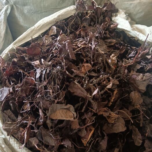 鄂伦春旗正品鹿衔草 净货