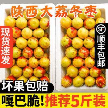 大荔县大荔冬枣
