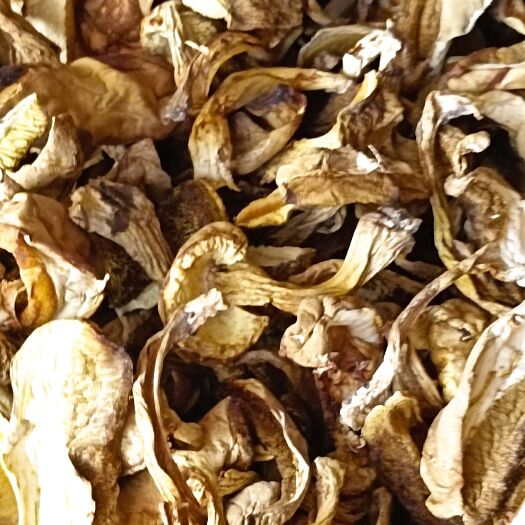 随县黄牛肝菌