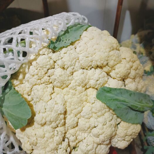 滑县有机花