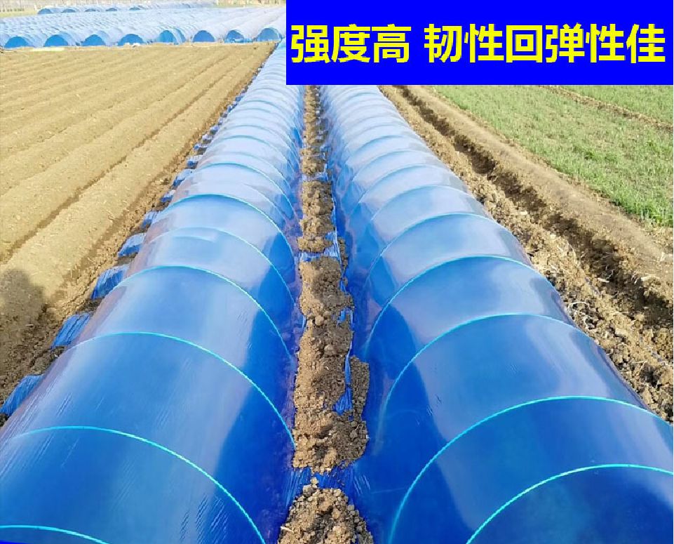 东莞市玻璃纤维大小拱棚杆育秧棚西瓜棚葡萄避雨棚豆角丝爪架高韧性实心