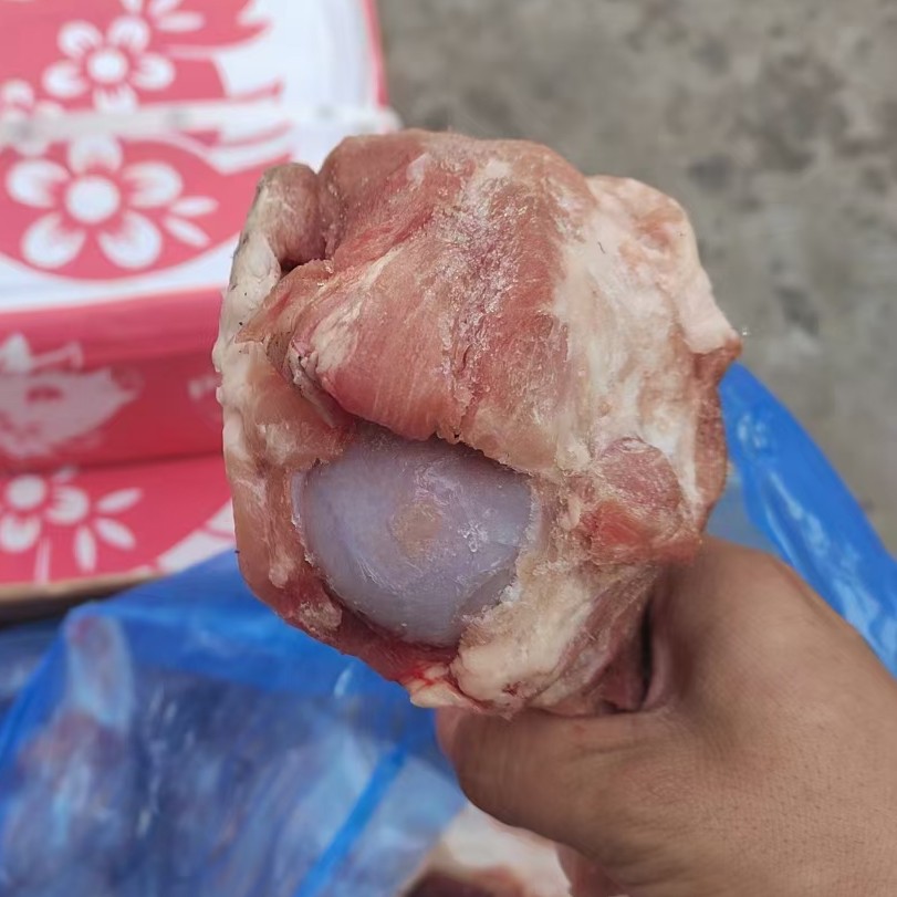 临沂多肉前腿骨  带肉百分之40几块钱一斤