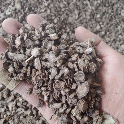 保山续断饮片