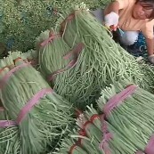 莘县豇豆