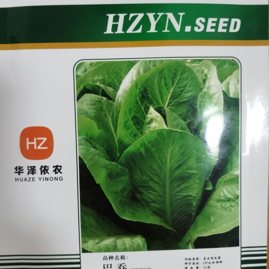 耐寒  耐抽苔生菜种子！新一代生菜品种！早熟性好！耐寒抗病！