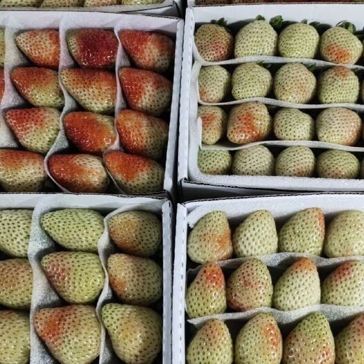 会泽县蒙特瑞