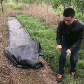 德州PE编织全新料材质防草布，结实耐踩，透气渗水，保湿保肥保墒。