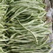 广灵县白条豆角