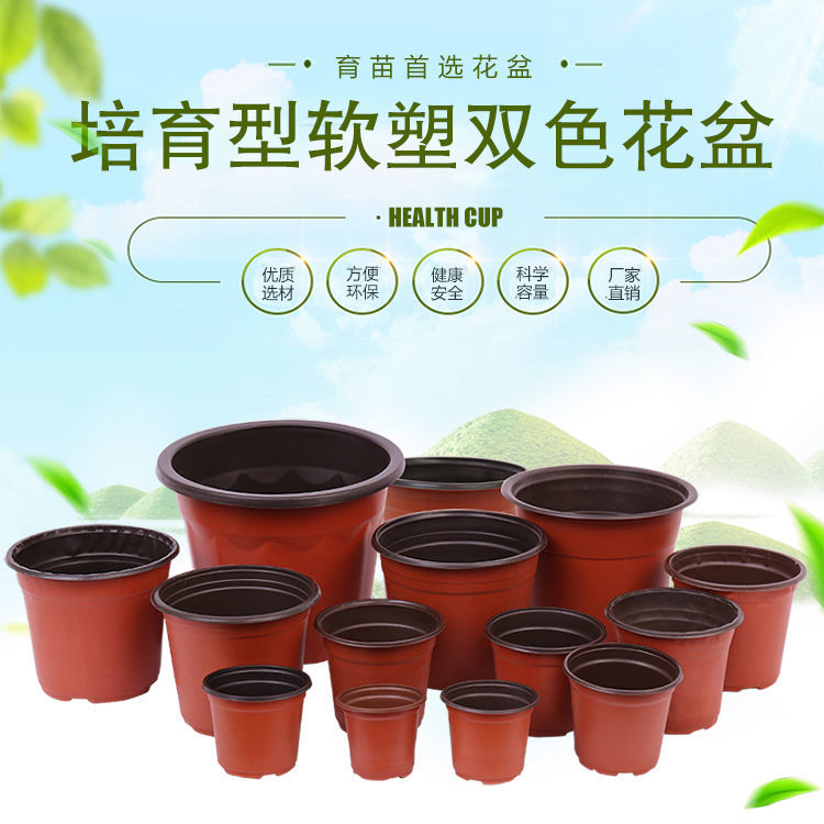 戀采花盆批發(fā)