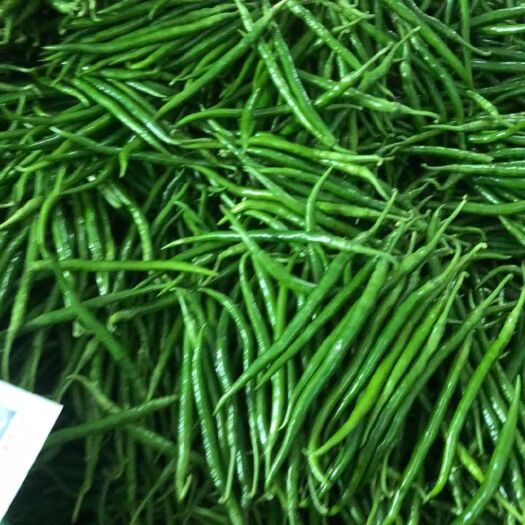 商丘线椒，3号线椒，