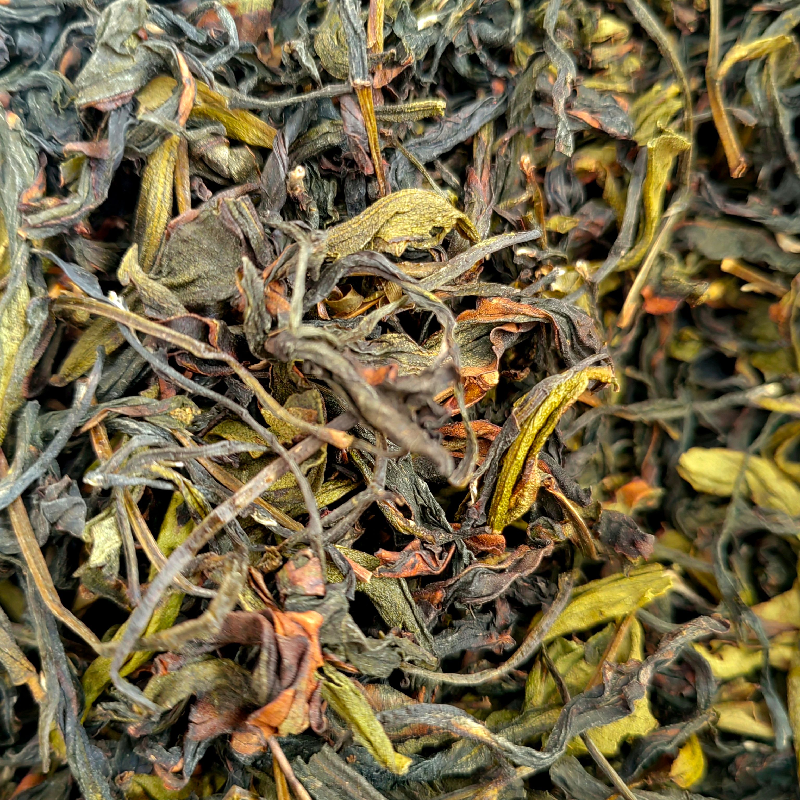 高山茶潮汕土山茶惠来土山茶八仙茶心大坪土山茶浓香型八仙茶1斤