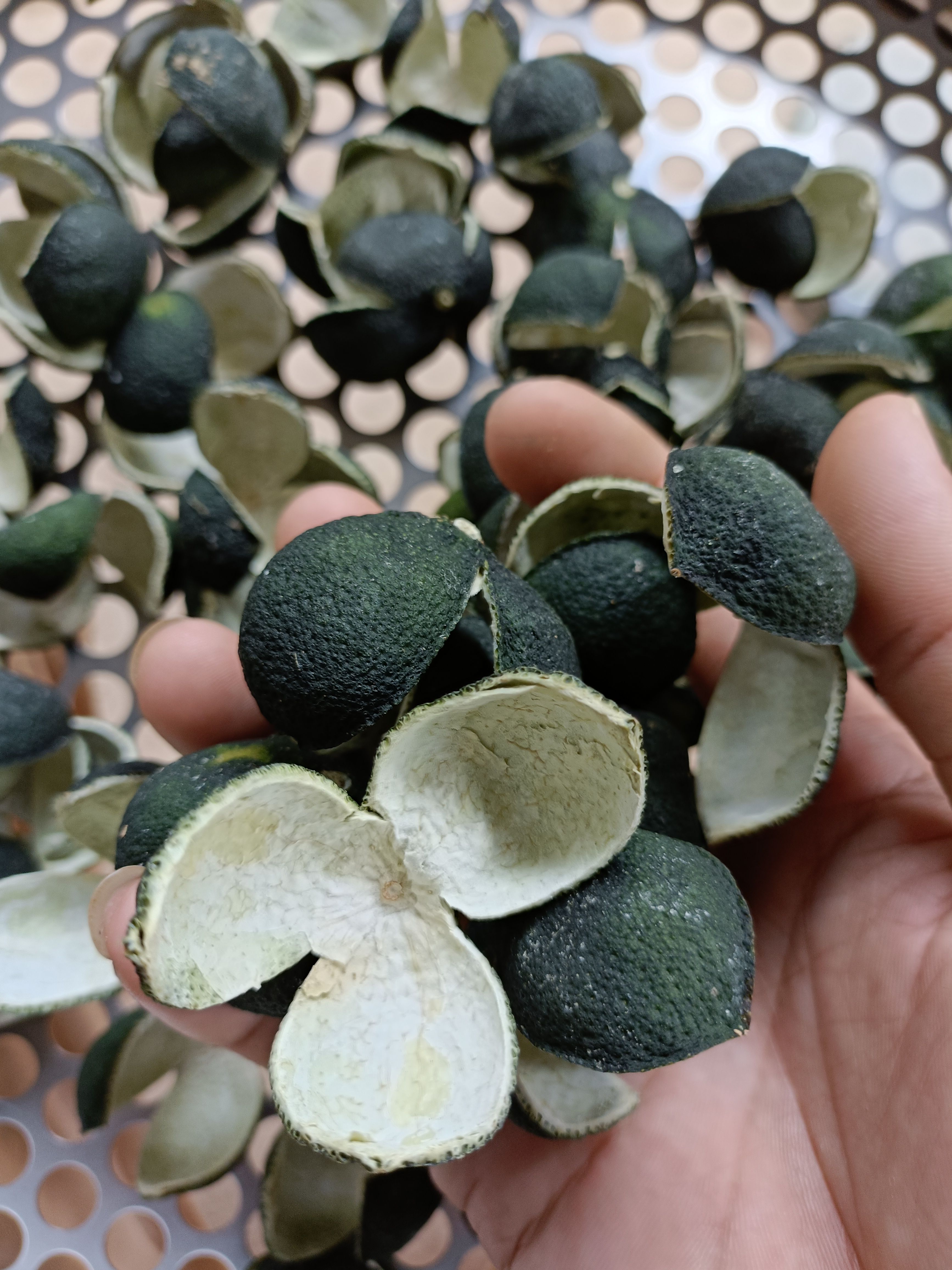 新会陈皮小青皮、三花皮