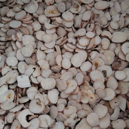 鄄城县白芍，药材批发，现货供应，量大从优【鲁赣药材】