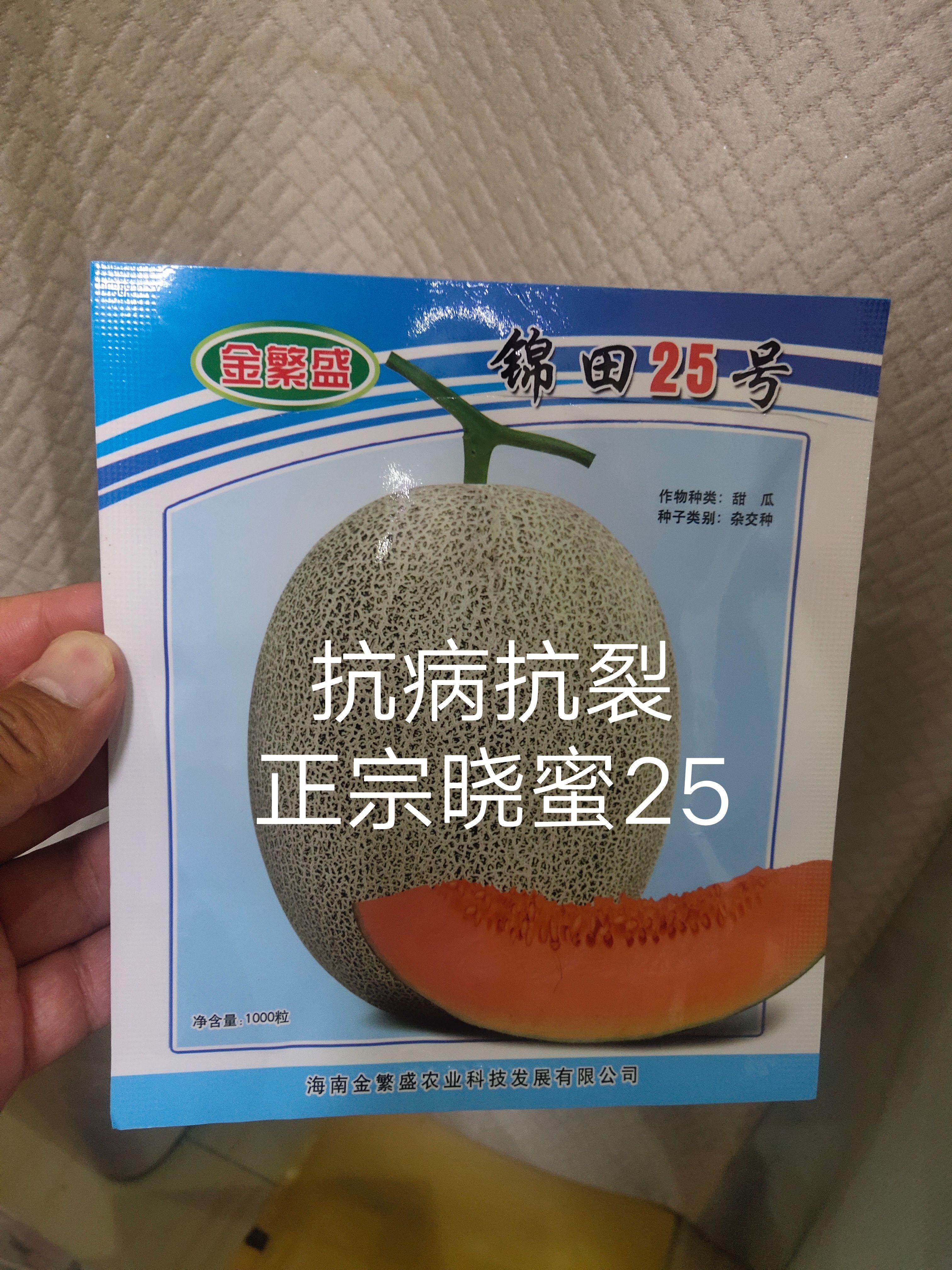 扶溝縣錦田25號哈蜜瓜種子易坐果成熟果黃綠色果肉橘紅含糖度高