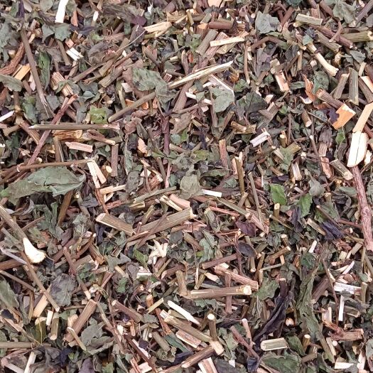 河池千里光自然晒干一手货源产地发货