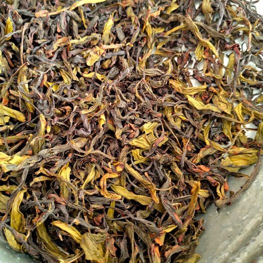 惠来县高山茶潮汕土山茶惠来土山茶八仙茶心大坪土山茶浓香型八仙茶1斤