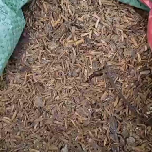 英德市鸡屎