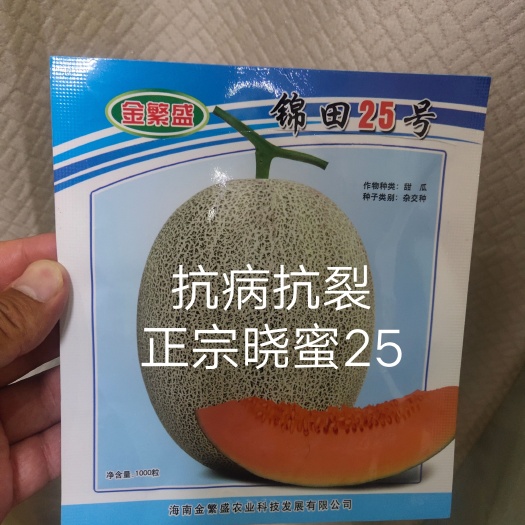 扶沟县锦田25号哈蜜瓜种子易坐果成熟果黄绿色果肉橘红含糖度高