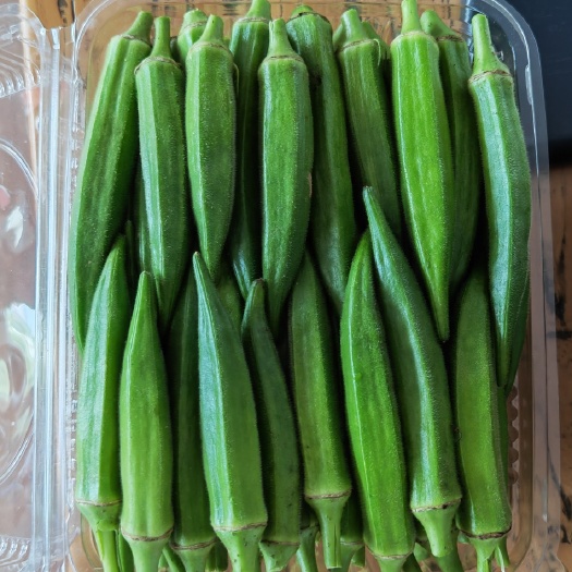 黄秋葵批发