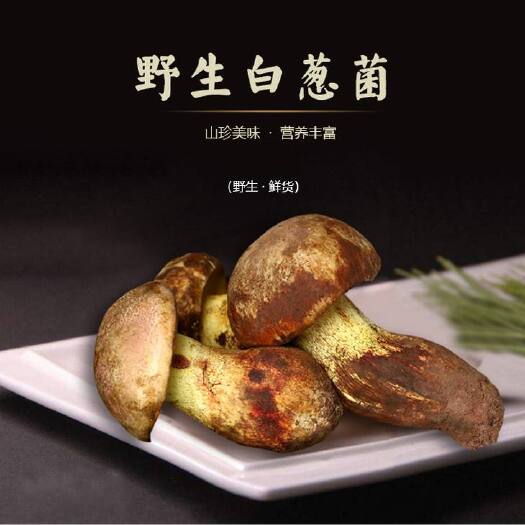 禄劝县云南乡下白葱菌包邮