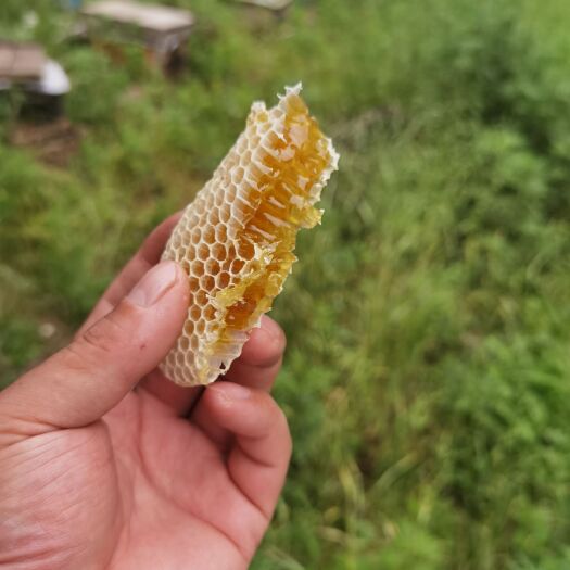 农家土蜂蜜 采百花 又称百花蜜 有很好的保健作用