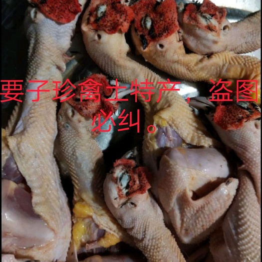 鸡肉类山鸡农家散养七彩山鸡新鲜山鸡肉七彩鸡放养月子鸡好吃现杀