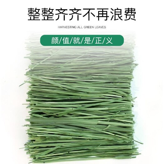 岷县22年烘干精品五A级头茬切段提摩西草 兔子龙猫荷兰猪宠物牧草