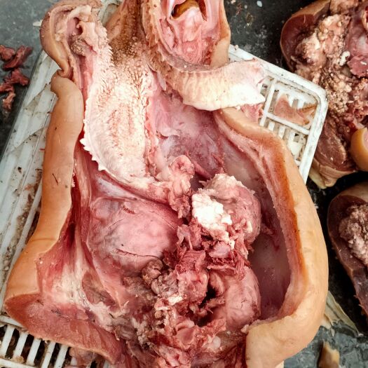 博爱县清真牛头肉 火烧毛 清水煮
 去油去淋巴 优质国产牛头肉