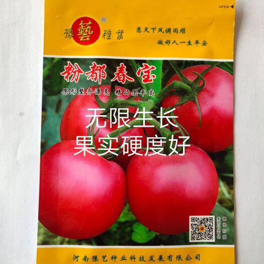 粉都春宝番茄种子果形漂亮，高硬度颜色和亮度都大果300克