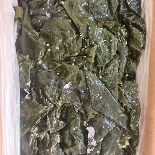 郑州盐渍海带边，好宽边，