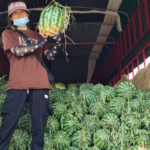 郑州河南开封祥符区