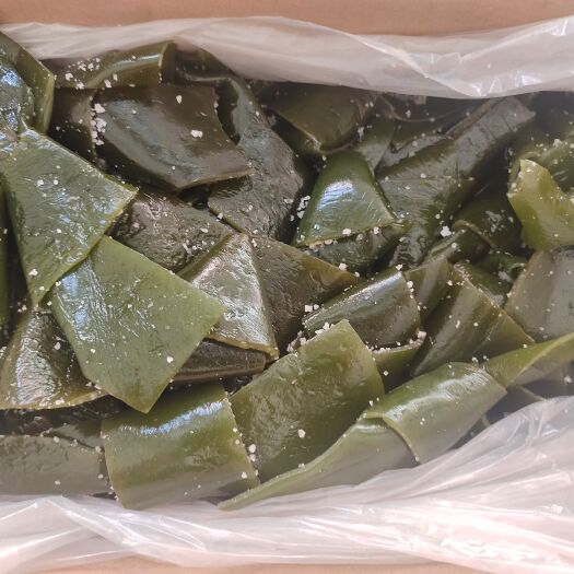 郑州盐渍海带扣