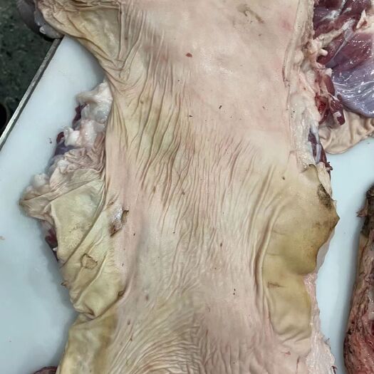 河间市羊肉
