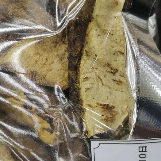 丽江牛肝菌