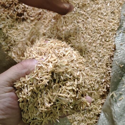 石家庄稻壳:长稻壳，圆稻壳，压缩稻壳，酒厂稻壳