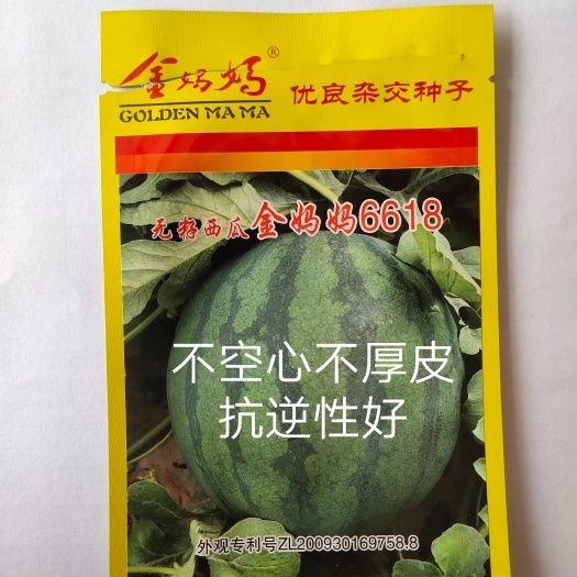 金妈妈6618无籽西瓜种子抗病抗裂易管理商品性强经济效益高