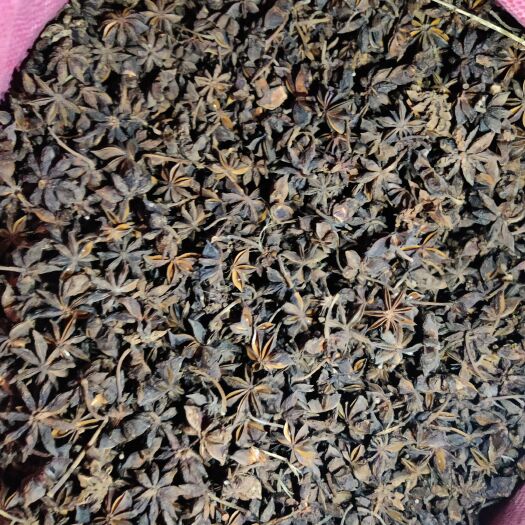 上思县广西防城港市上思无硫大红八角，干枝，黑八角。老树优良品种