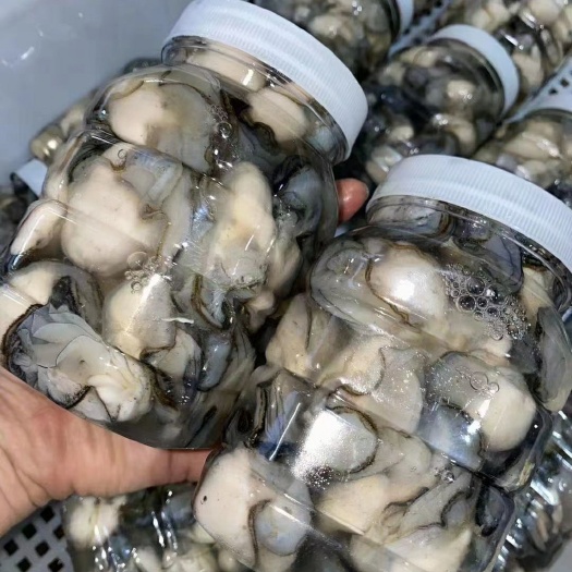 饶平县原产地，，当天去壳，当天发货，全国冻凉冷链物流生蚝肉