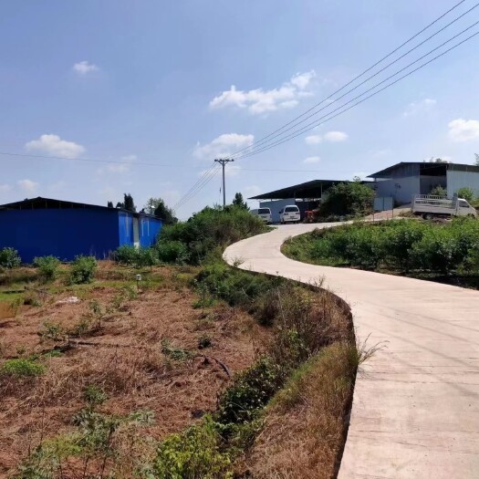 重庆市重庆荣昌花椒地合同面积200亩，实测面积300亩以上，